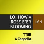 Lo How a Rose E'er Blooming