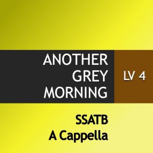 Another Grey Morning